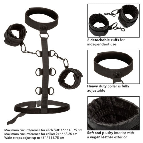 Boundless Collar Body Restraint