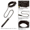 Boundless Collar & Leash