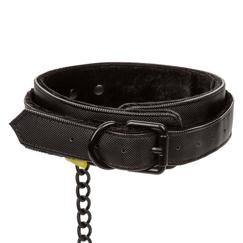 Boundless Collar & Leash