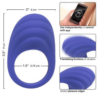 Calexotics Connect Couples Ring