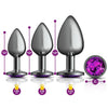 Cheeky Charms - Metal Butt Plug Gunmetal - Anal Trainer Kit