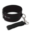 Collar and Leash Set