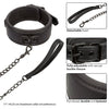 Nocturnal Collection Collar and Leash