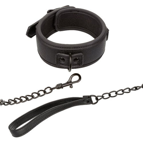 Nocturnal Collection Collar and Leash