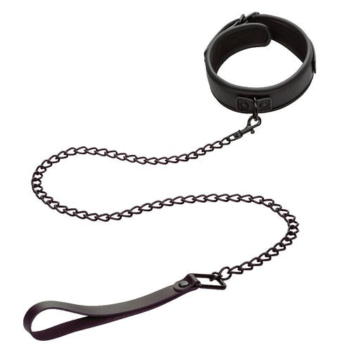 Nocturnal Collection Collar and Leash